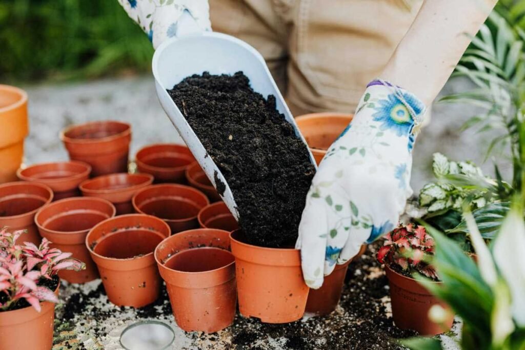 Soil and fertilizer mixing for plants